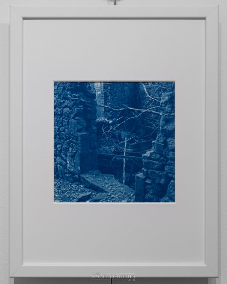 Exposition "Sous-bois ferriques" Tirage cyanotype n°18