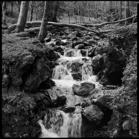 photo argentique noir et blanc cascade