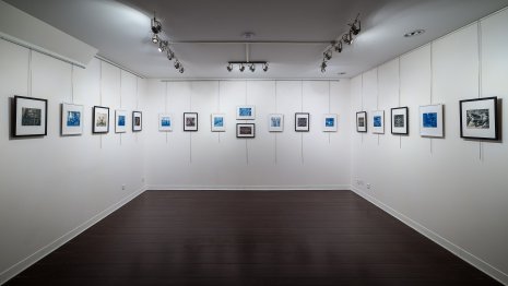 Exposition "Sous-bois ferriques" Imaginarium du photographe