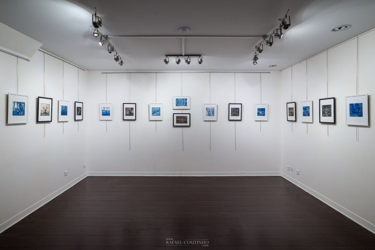Galerie cyanotypes exposition "Sous-bois ferriques"