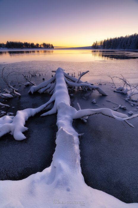lever de soleil lac de Servières Auvergne neige