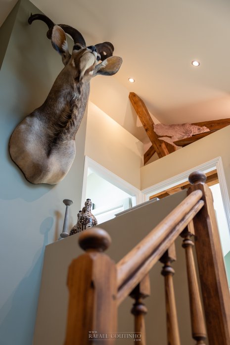 Le Saint Laurent immobilier décoration intérieure propriété Vichy architecte Hervé Delouis