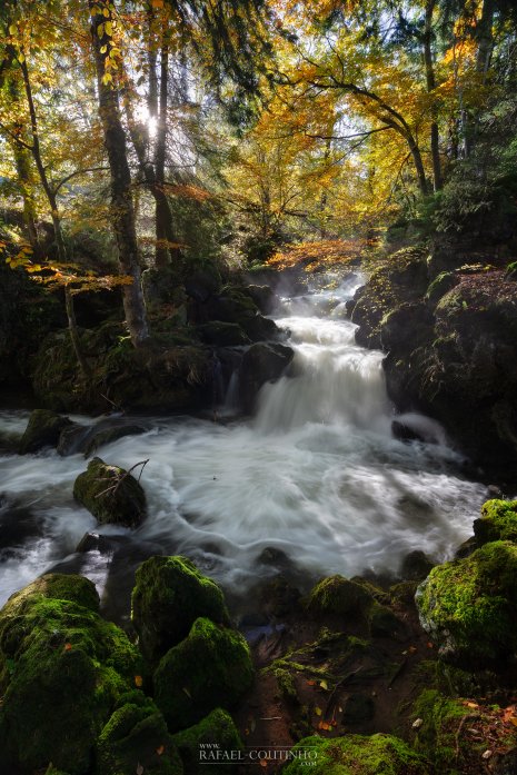 cascade Chilloza Couze-Pavin Auvergne automne