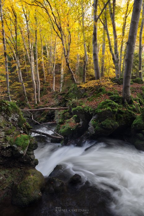 cascade Chilloza Couze-Pavin Auvergne automne