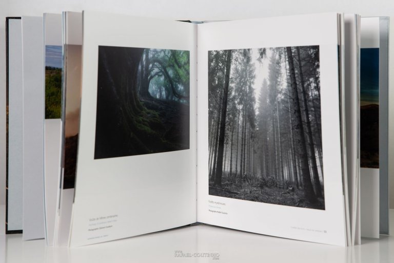 Galerie Photo Livre Chaîne des Puys