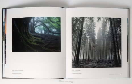 Livre Chaînes des Puys Faille de la Limagne