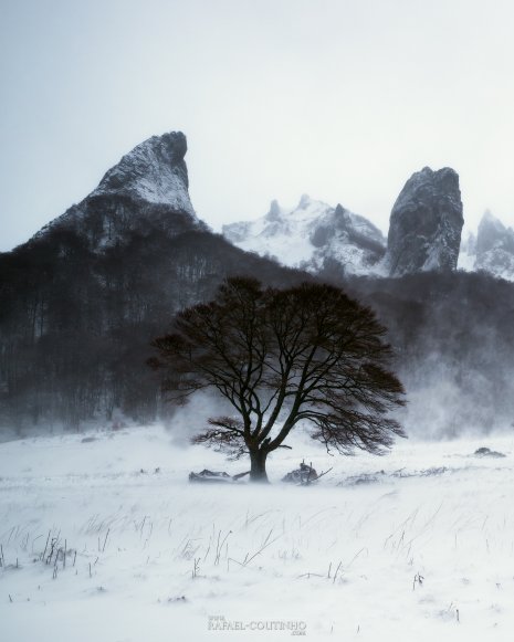 Vallée de Chaudefour neige et brume