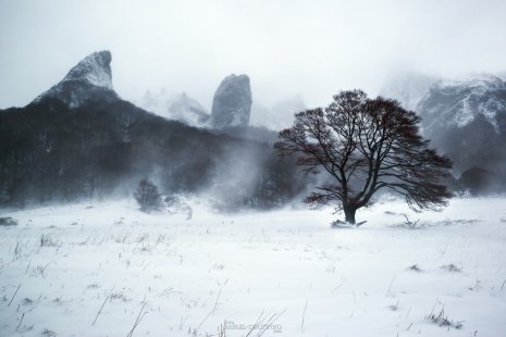 Vallée de Chaudefour neige et brume