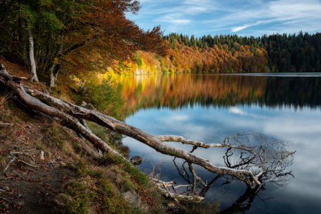 Lac Pavin automne