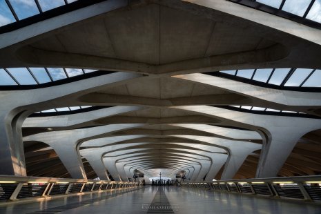 Gare St Exupéry Lyon