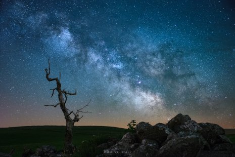 arbres rochers voie lactée Cézallier Auvergne