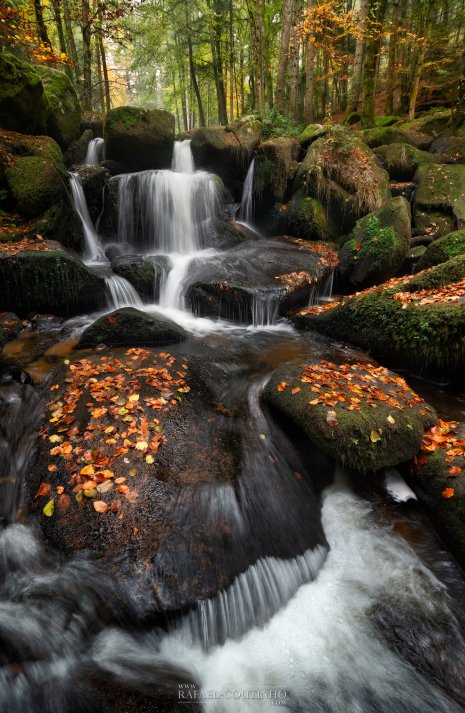 cascade vallée du Couzon Auvergne