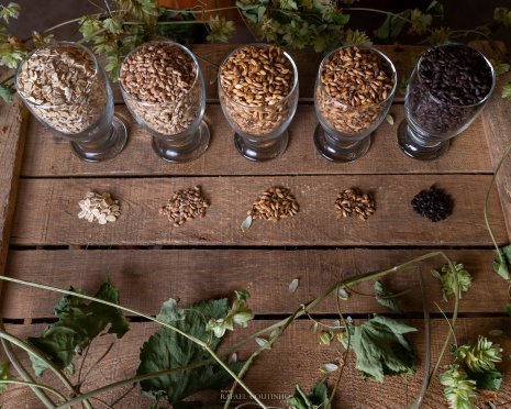 photo Brasserie La Belle Poule Rafael Coutinho