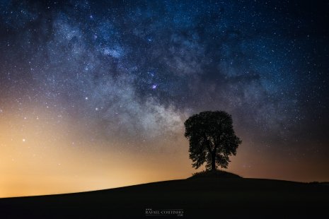voie lactée arbre Chaynat Auvergne