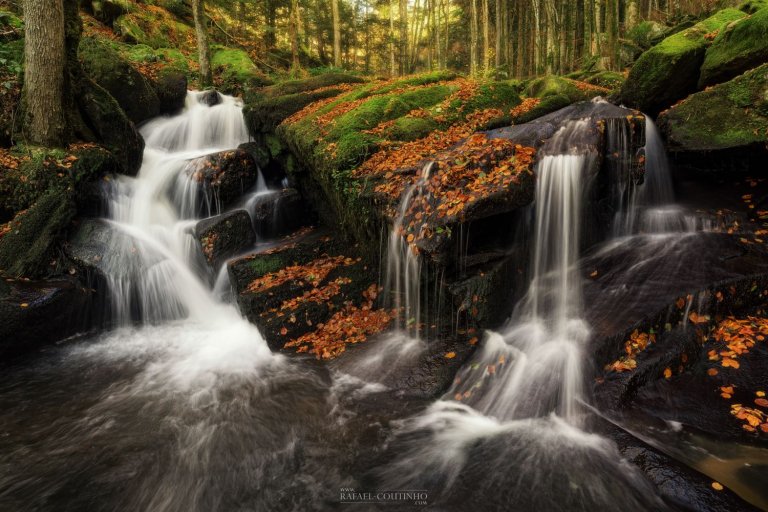 Galerie Paysage Cascades