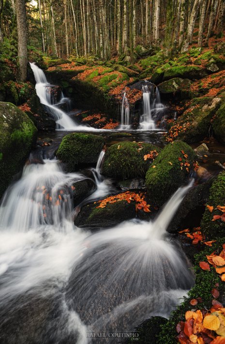 cascade vallée du Couzon Auvergne