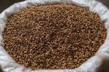 photo Brasserie La Belle Poule Rafael Coutinho