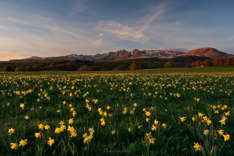 Coucher de soleil massif du Sancy joncquilles