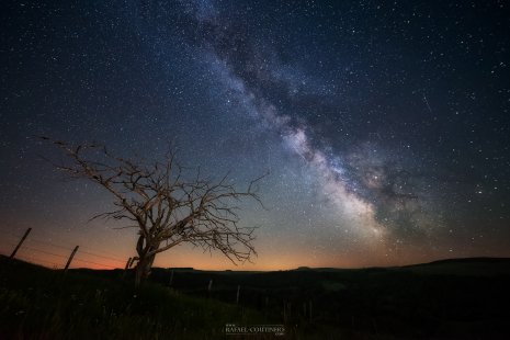 abre voie lactée Cézallier Auvergne