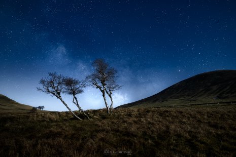 arbres ciel étoilé col de la Croix Morand Auvergne