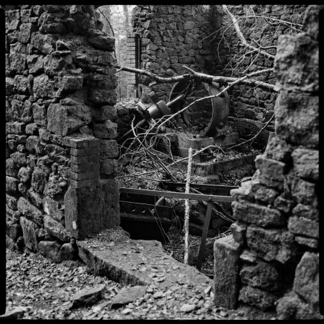photo argentique noir et blanc fôret vieux moulin