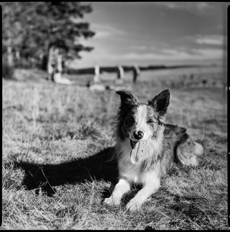 photo People (Portraits) Rafael Coutinho