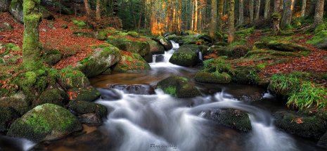 cascade vallée du Couzon Auvergne