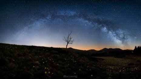 arbre joncquilles voie lactée massif du Sancy Auvergne