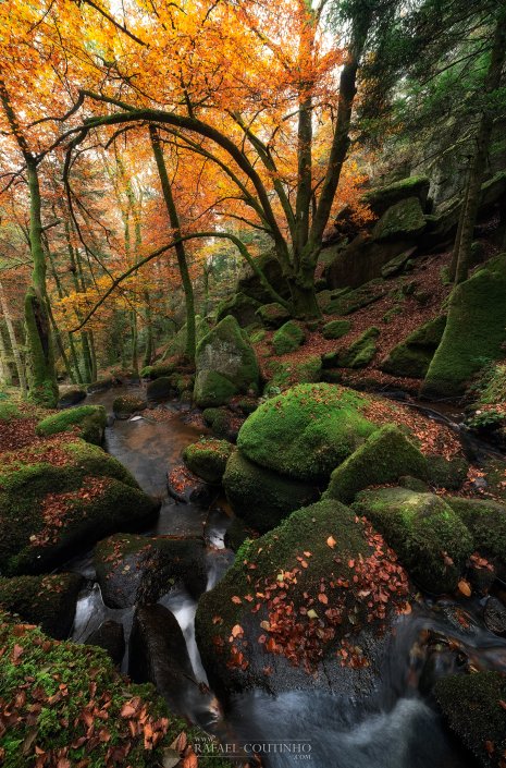 cascade vallée du Couzon Auvergne