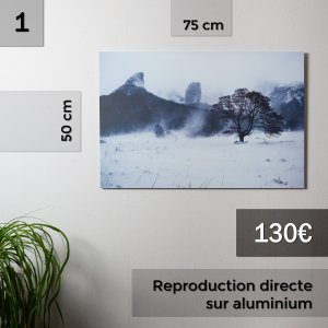 repro_1 photo Reproductions à vendre pour Noël 2020 Rafael Coutinho