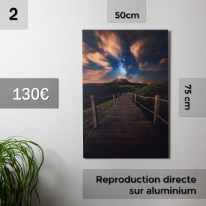 repro_2 photo Reproductions à vendre pour Noël 2020 Rafael Coutinho