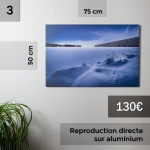 repro_3 photo Reproductions à vendre pour Noël 2020 Rafael Coutinho