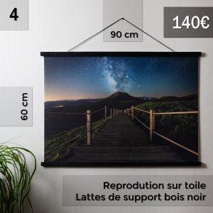 repro_4 reproductions noël 2020