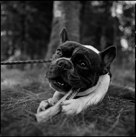 photo People (Portraits) Rafael Coutinho