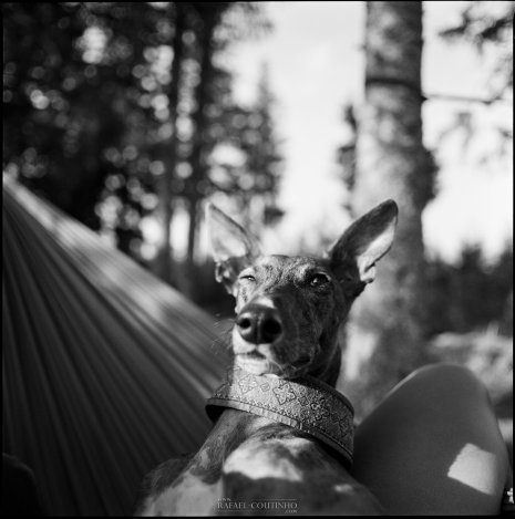 photo People (Portraits) Rafael Coutinho