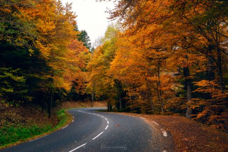 route automne Sancy