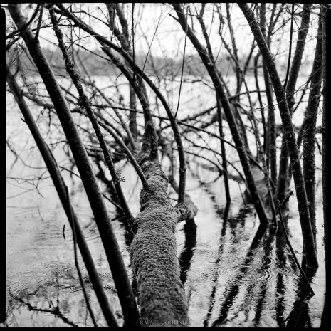 photo argentique noir et blanc fôret lac