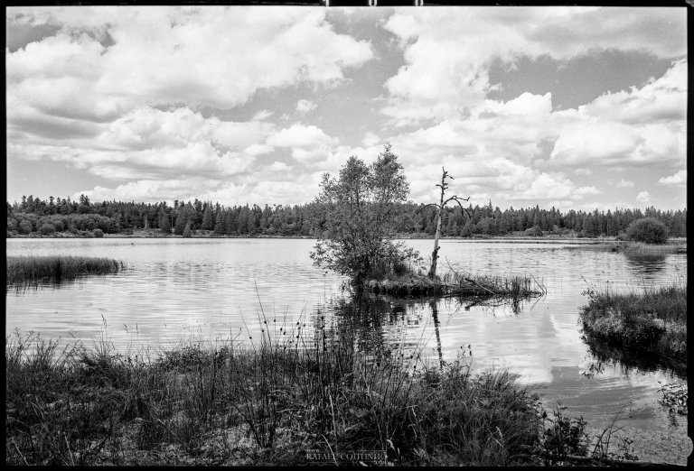 Galeries Photo Argentique