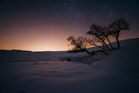 abres neige ciel étoilé Auvergne