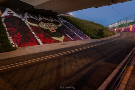 Clermont Urban Graff street art graffiti Clermont-Ferrand